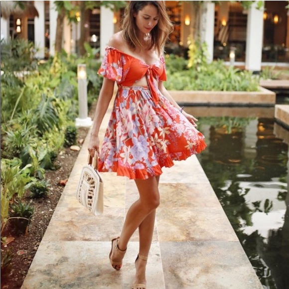 Spell and the Gypsy Lily Play Dress - Picture 7 of 8